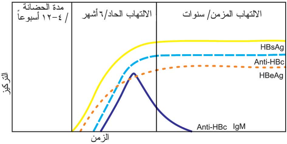 الوصف: C:64\3.jpg