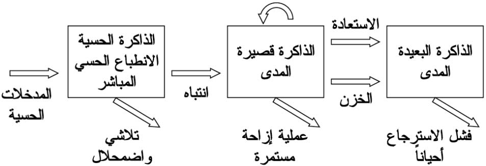 الموسوعة العربية | الذاكرة