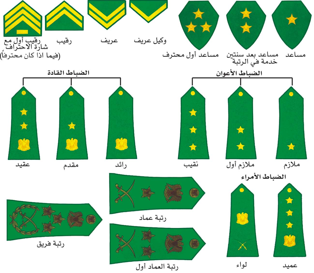 الموسوعة العربية | الرتب العسكرية