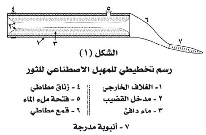 الموسوعة العربية | التلقيح الاصطناعي في الحيوانات