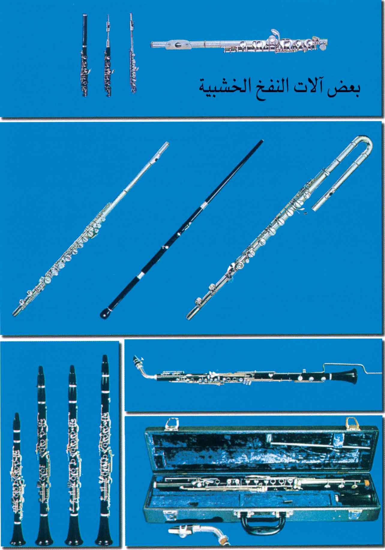 الموسوعة العربية | الآلات الموسيقية
