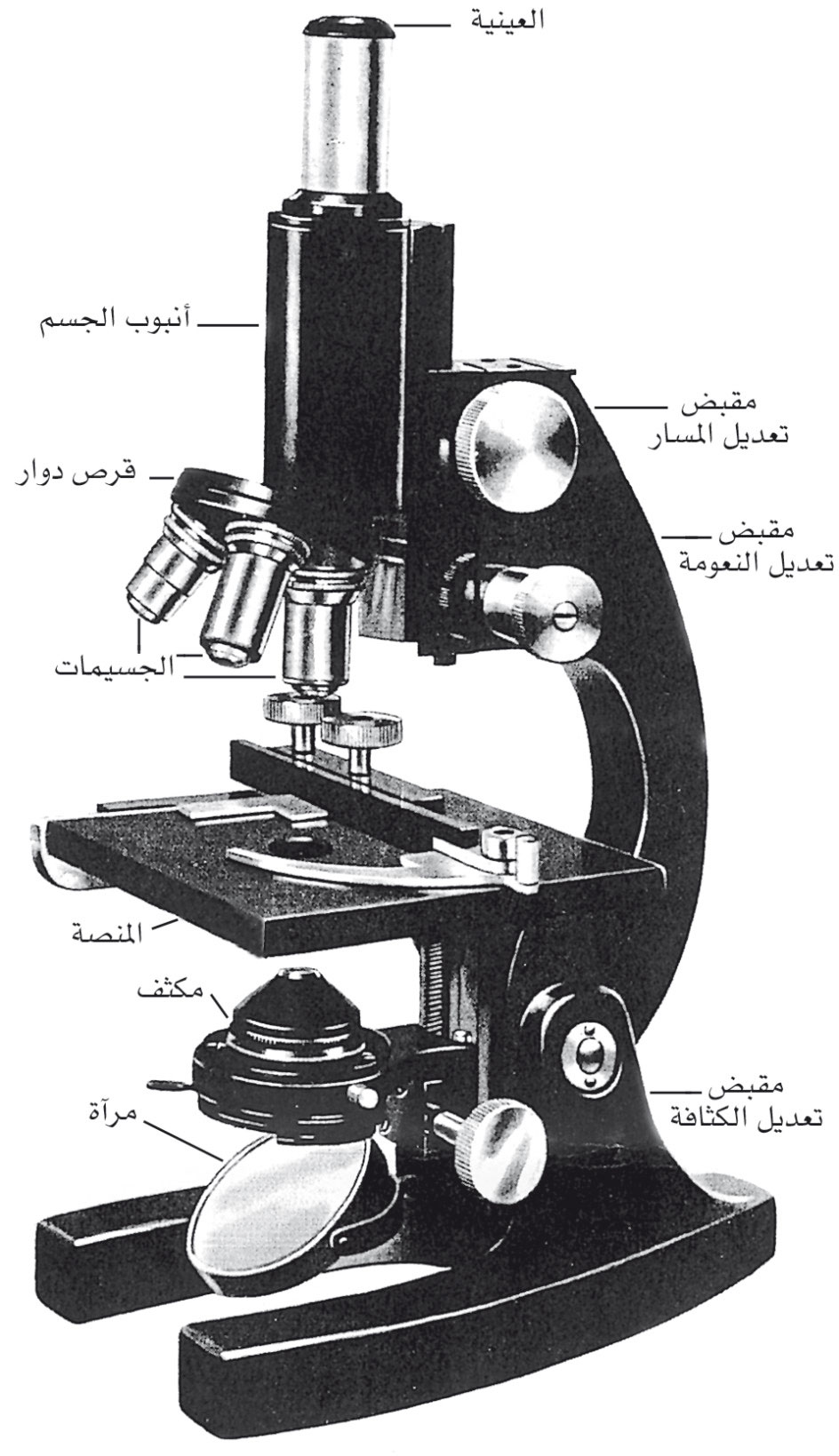 الموسوعة العربية | المجهر الضوئي