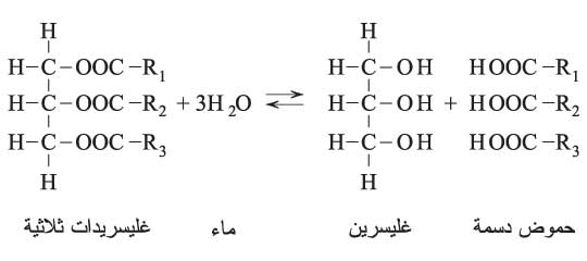 الموسوعة العربية | الغليسرول