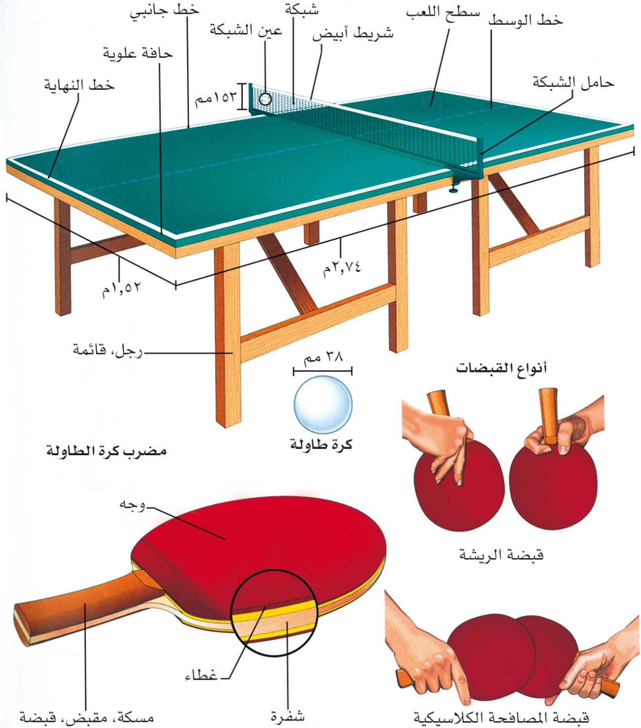 الموسوعة العربية | كرة الطاولة