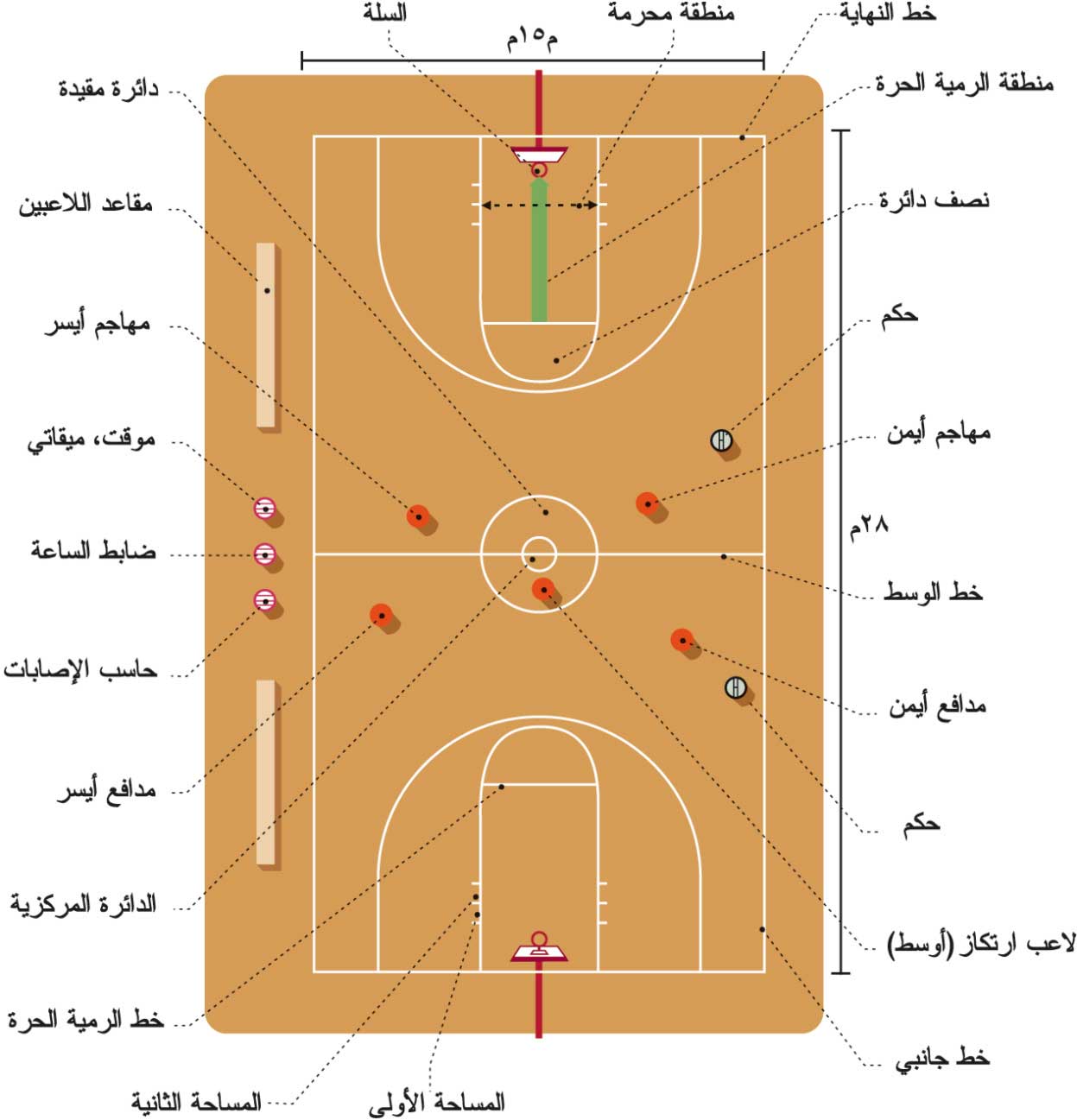 الموسوعة العربية | كرة السلة