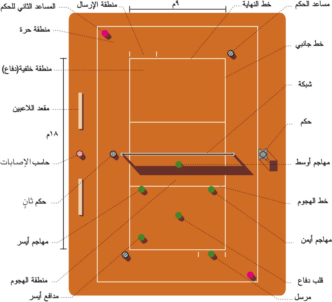 الموسوعة العربية | الكرة الطائرة