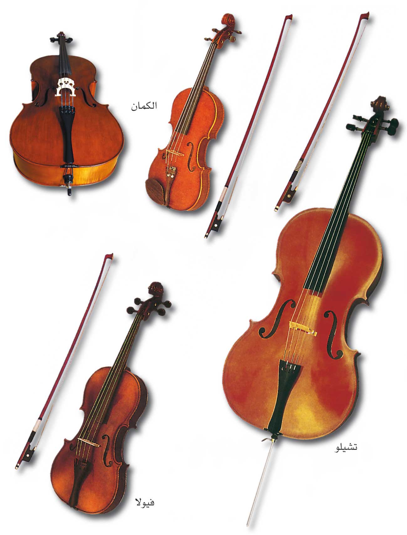 الموسوعة العربية | الكمان