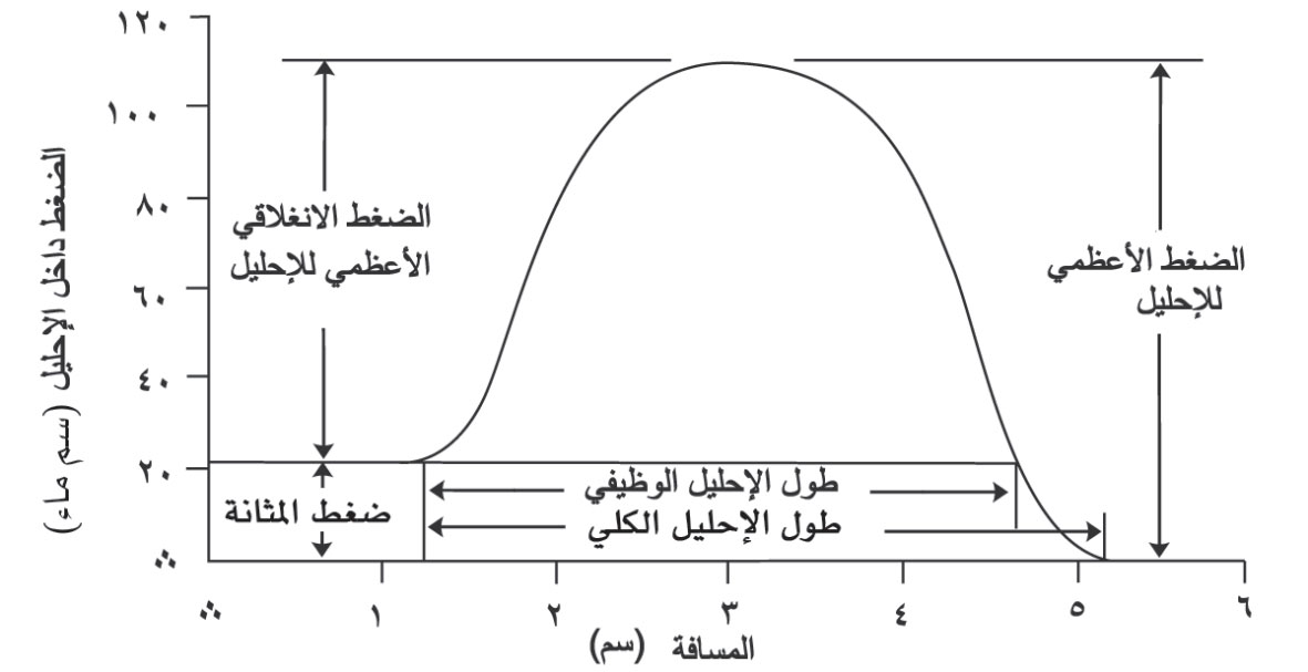 الموسوعة العربية | الدراسة البولية الديناميكية