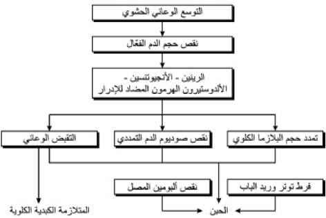 الموسوعة العربية | أمراض الكبد والسبيل الصفراوي